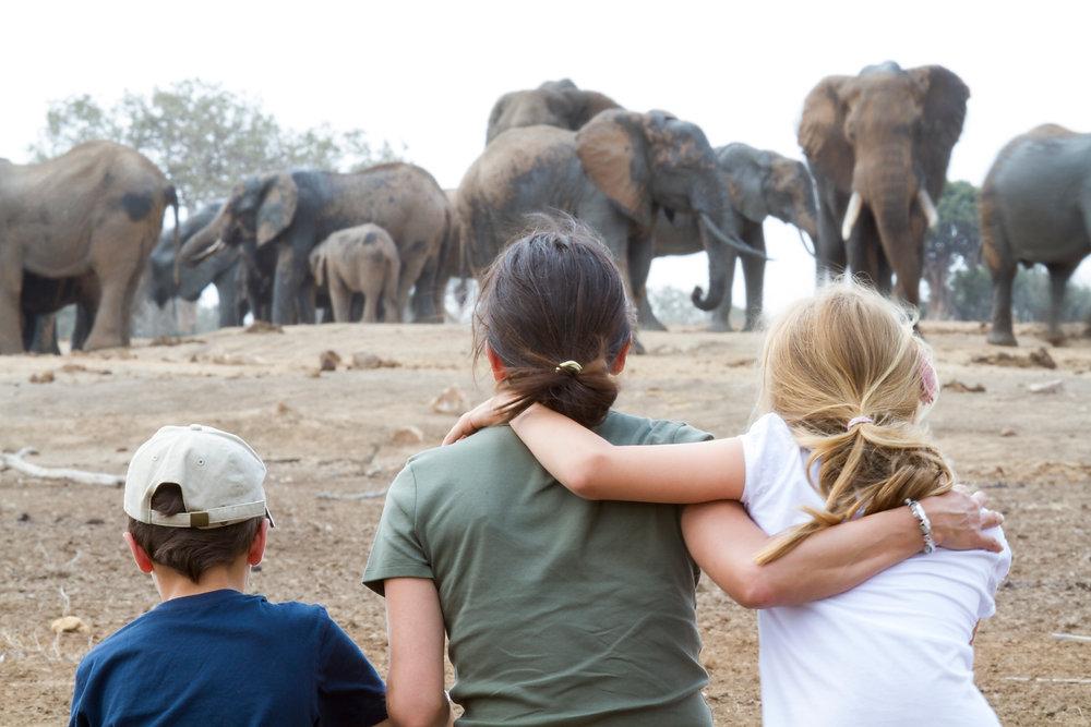 Family Safaris